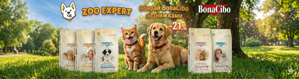shaslivi kot-i-pes
